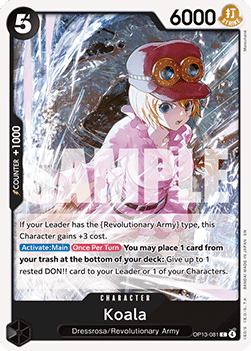 Koala (OP13-081)