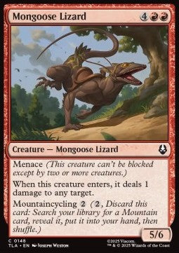 Mongoose Lizard